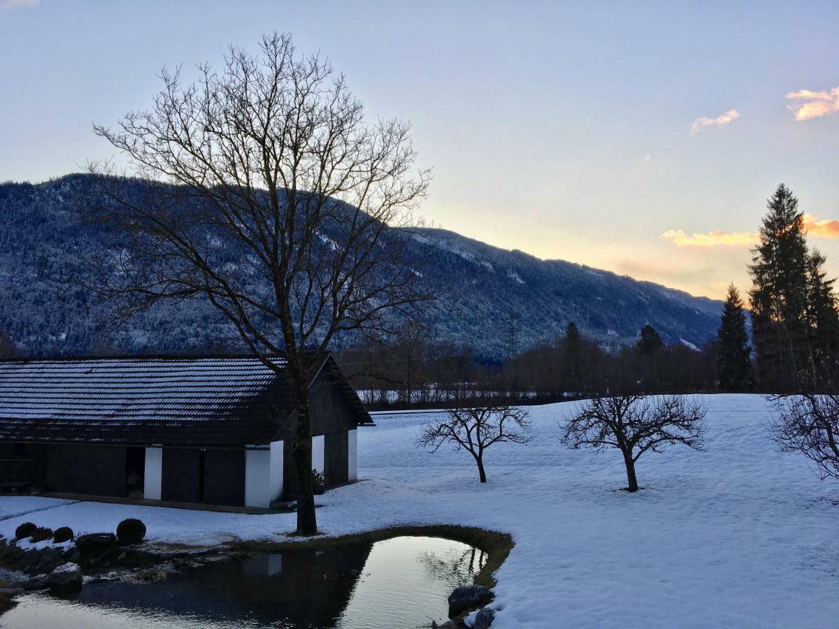 Apartmán Assingerhof Sankt Stefan an der Gail Exteriér fotografie